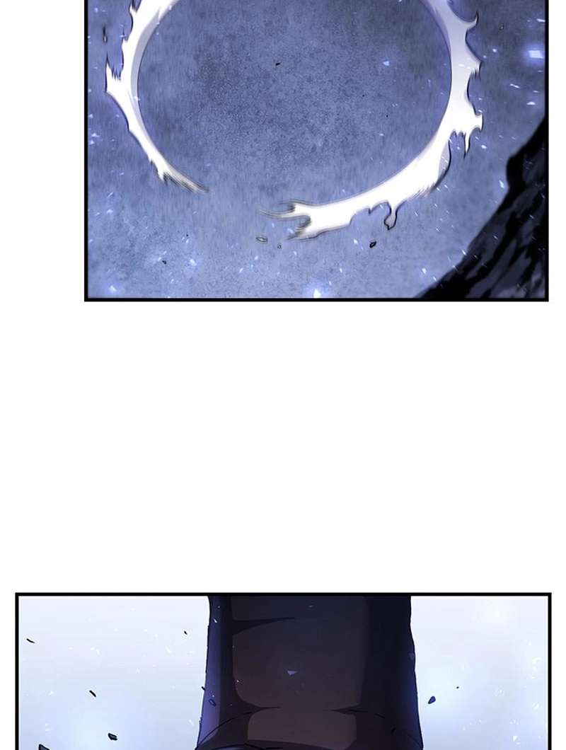 P81