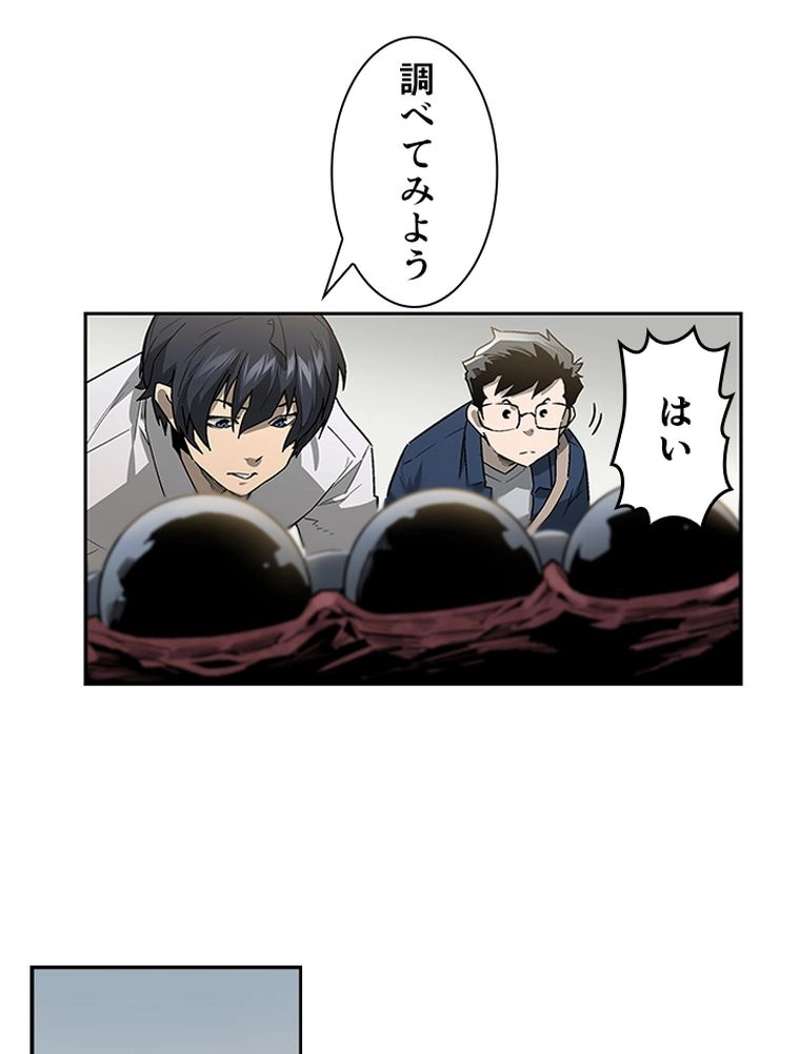 P53