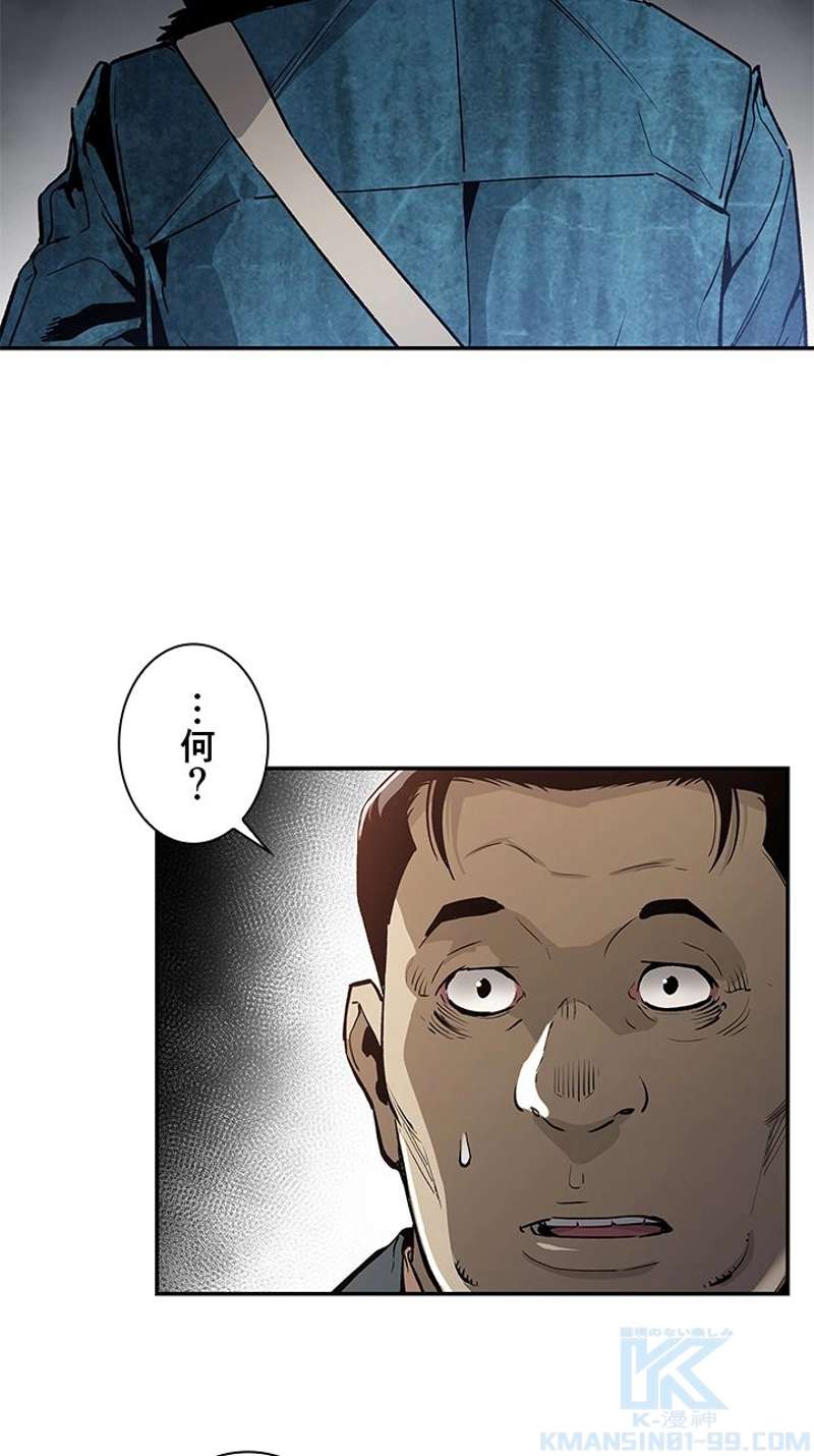 P53