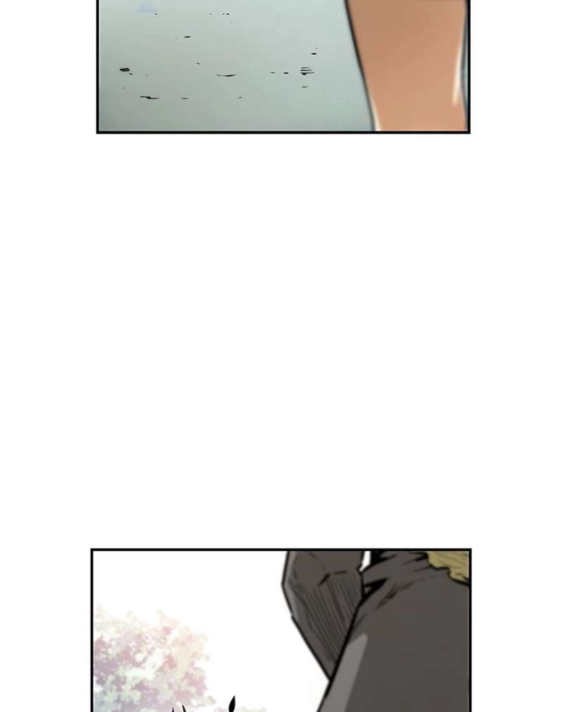 P24