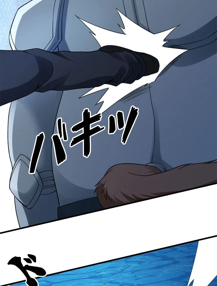 P66