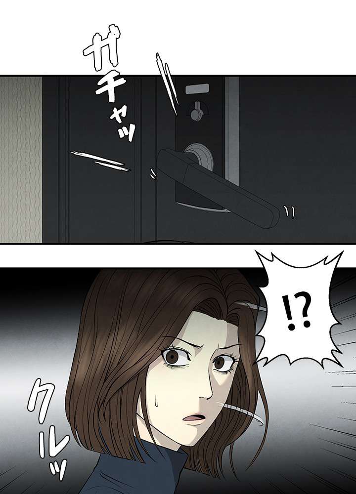 P63