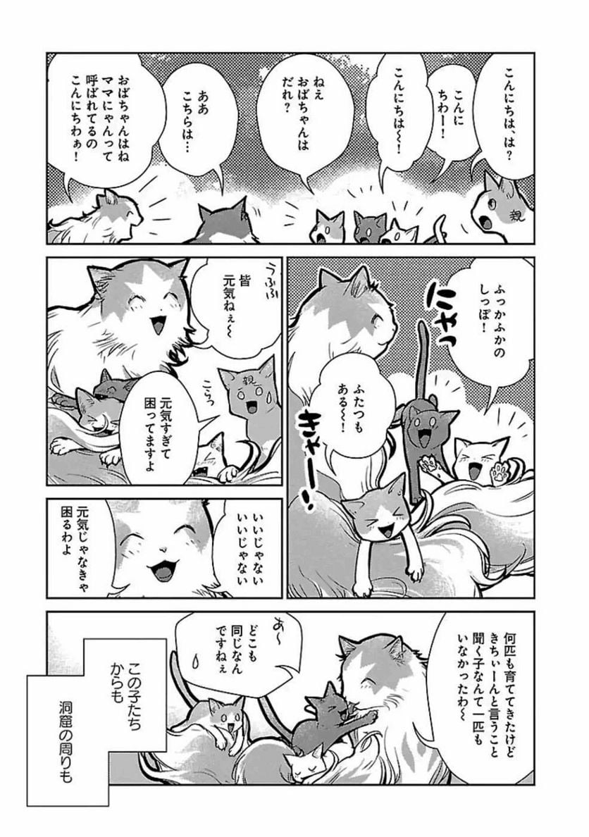 P27