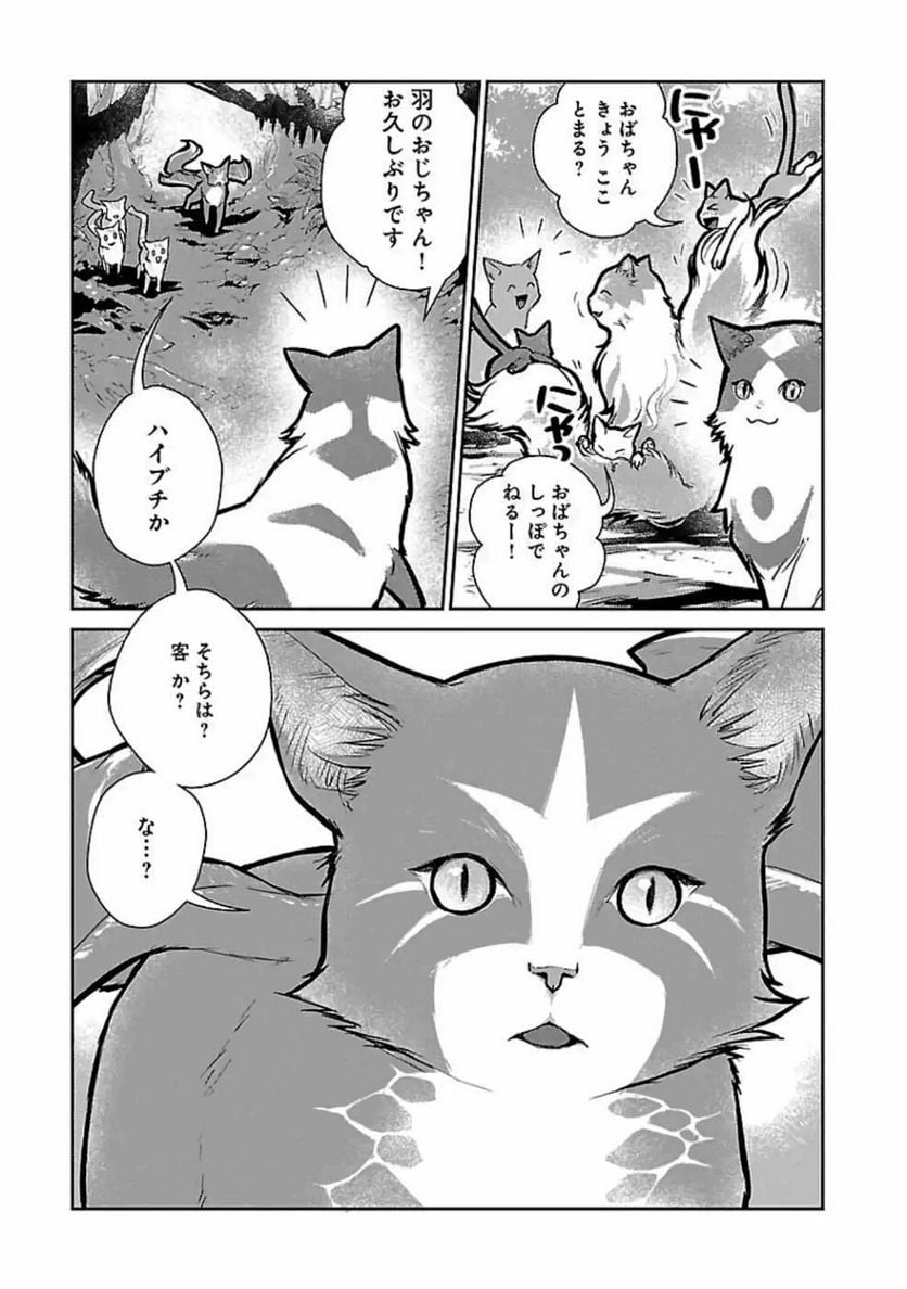 P29