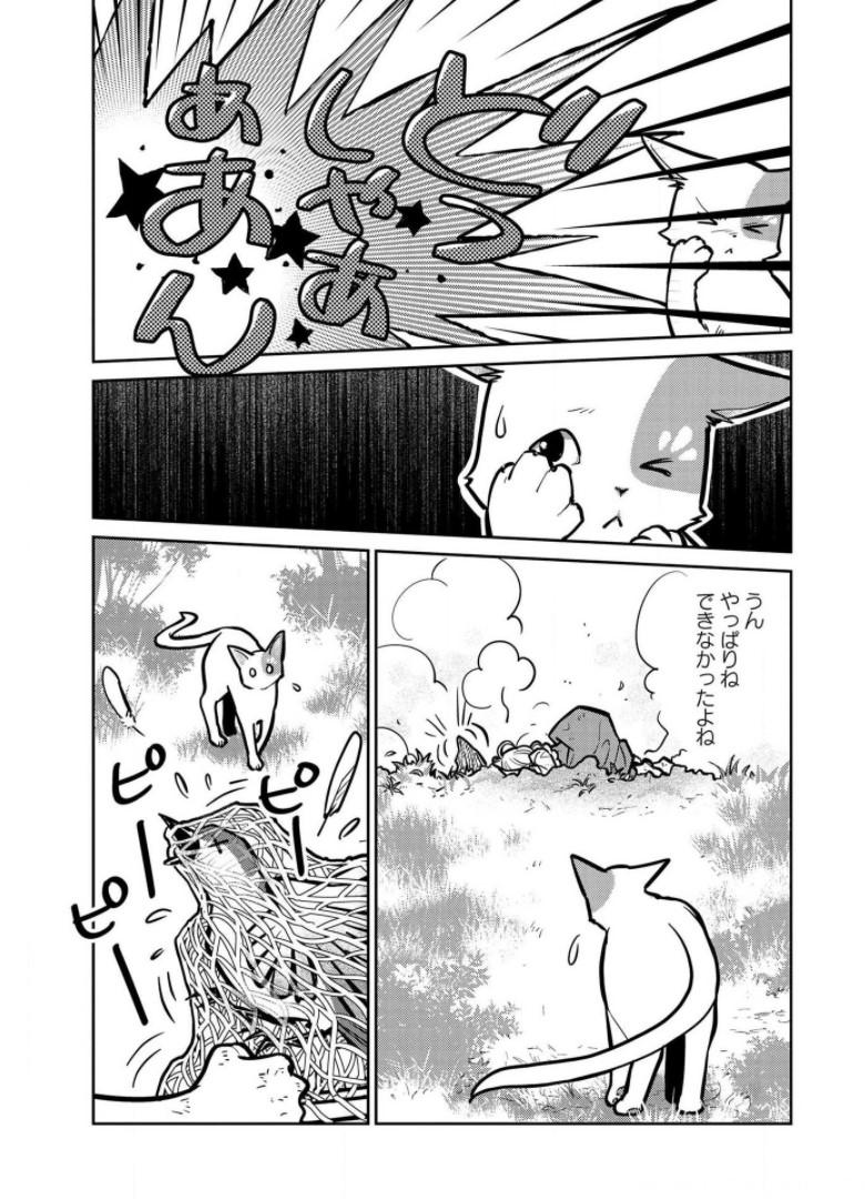 P13