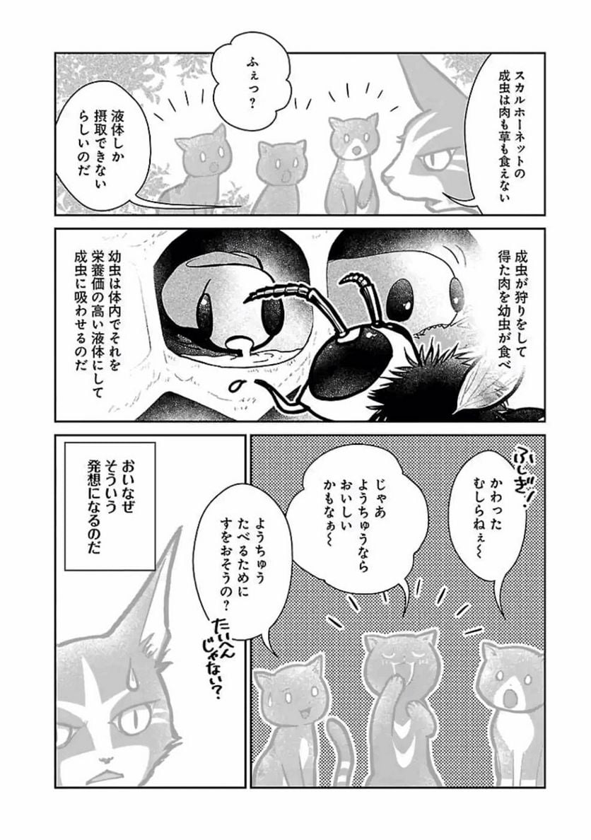P37