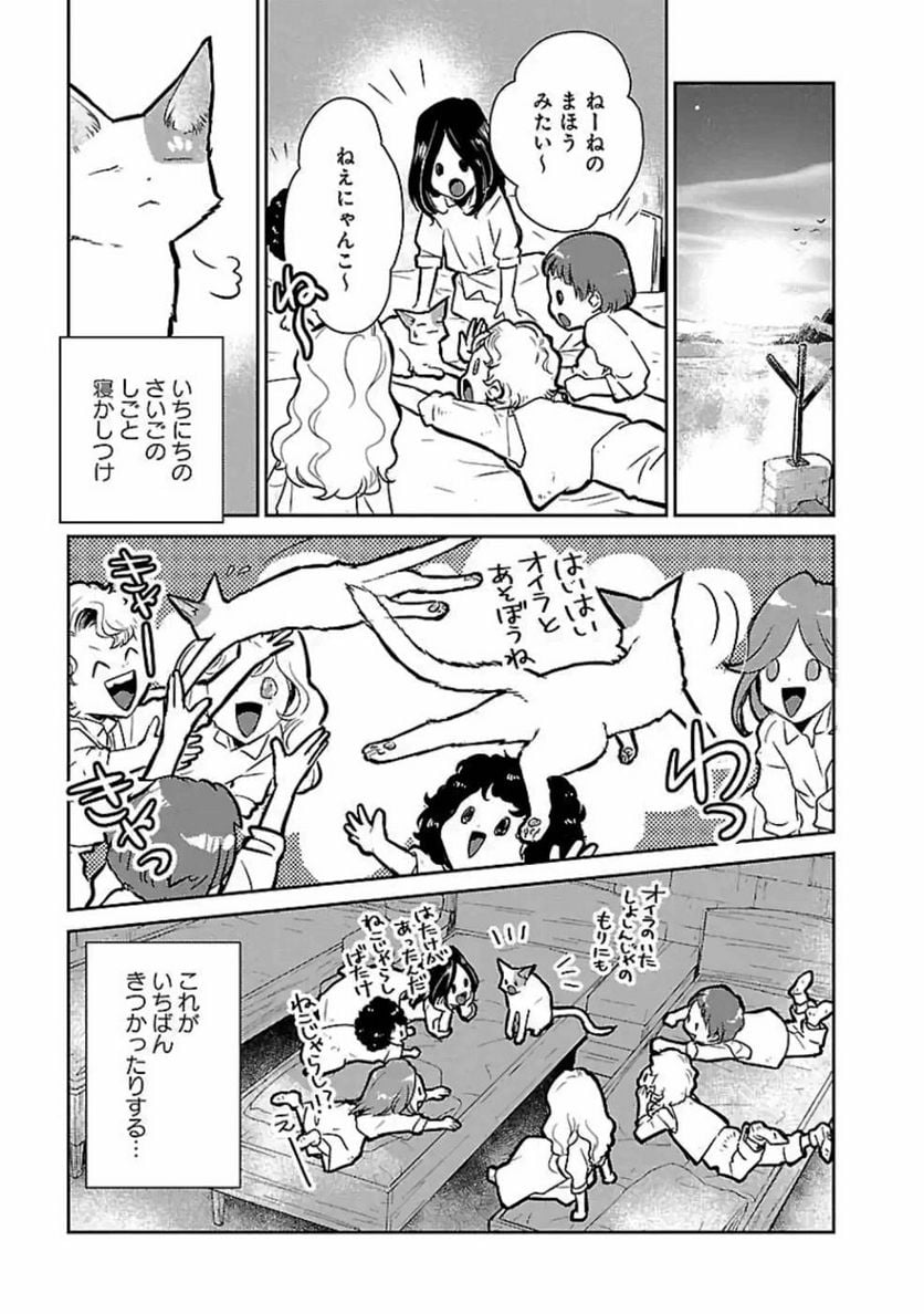 P29
