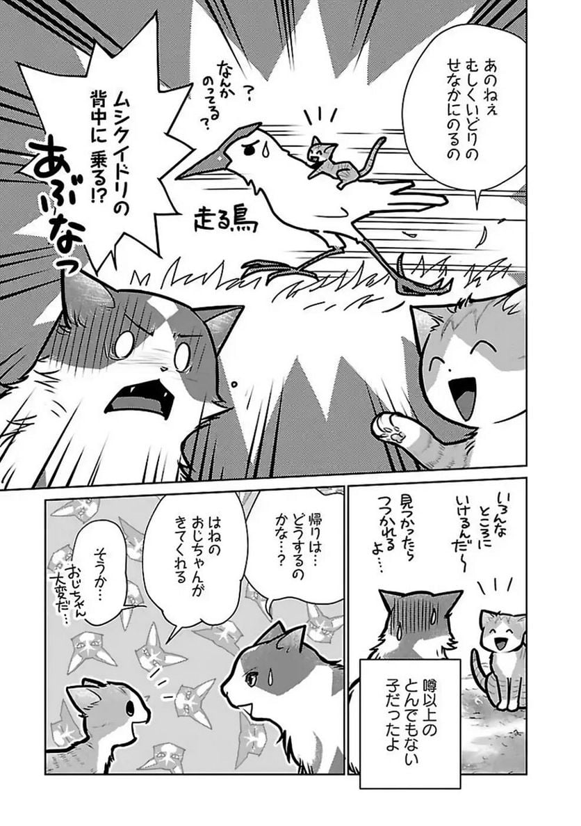 P13