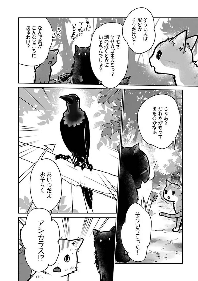 P32