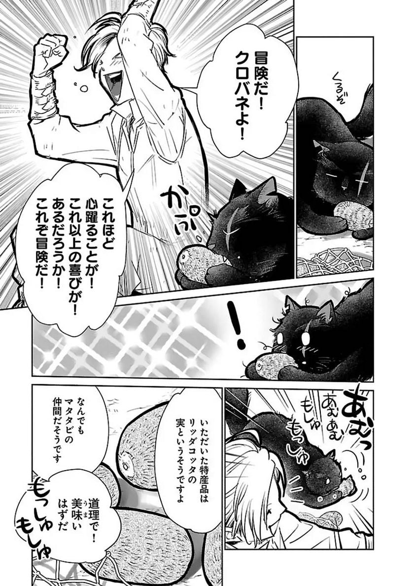 P33