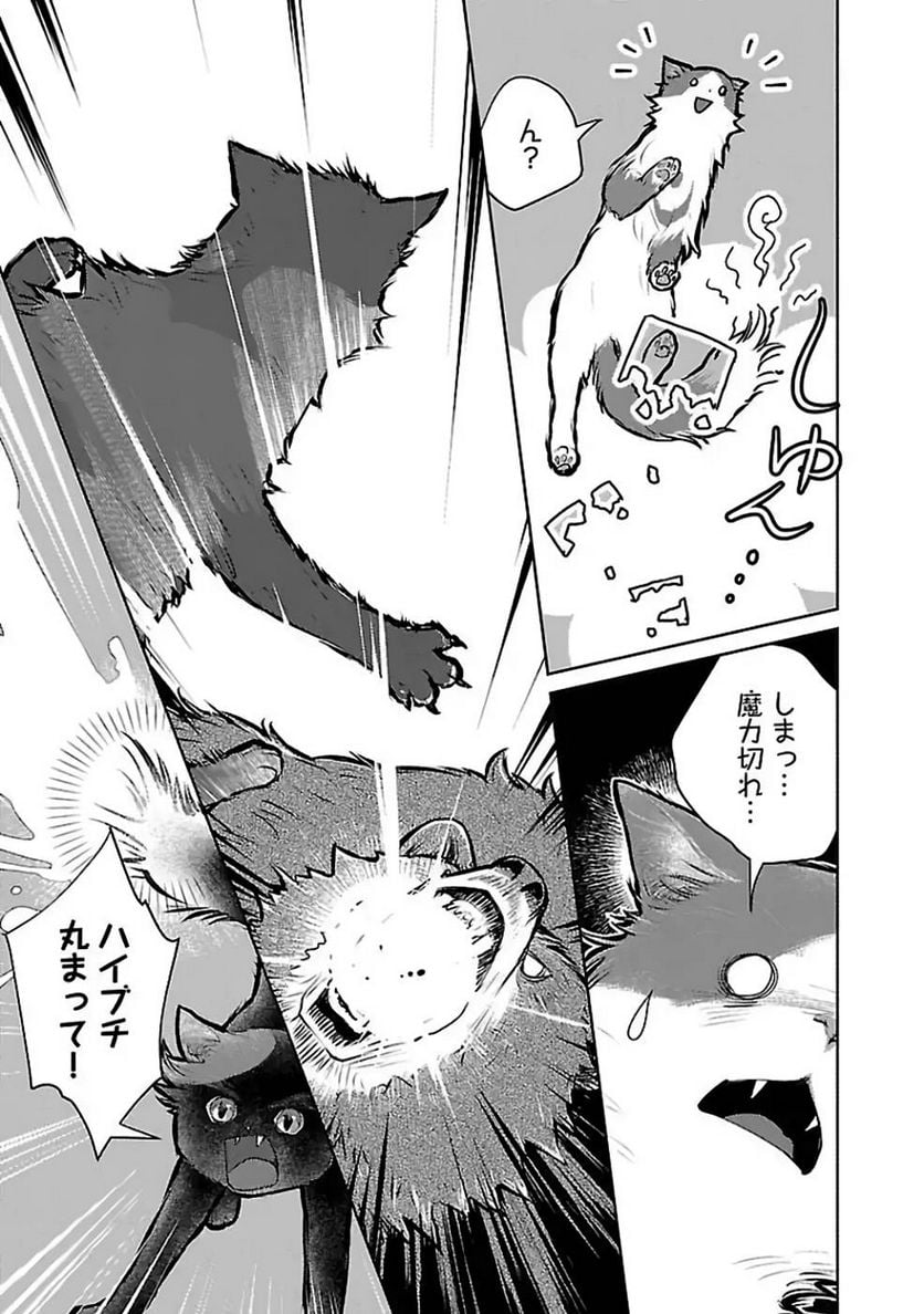 P27