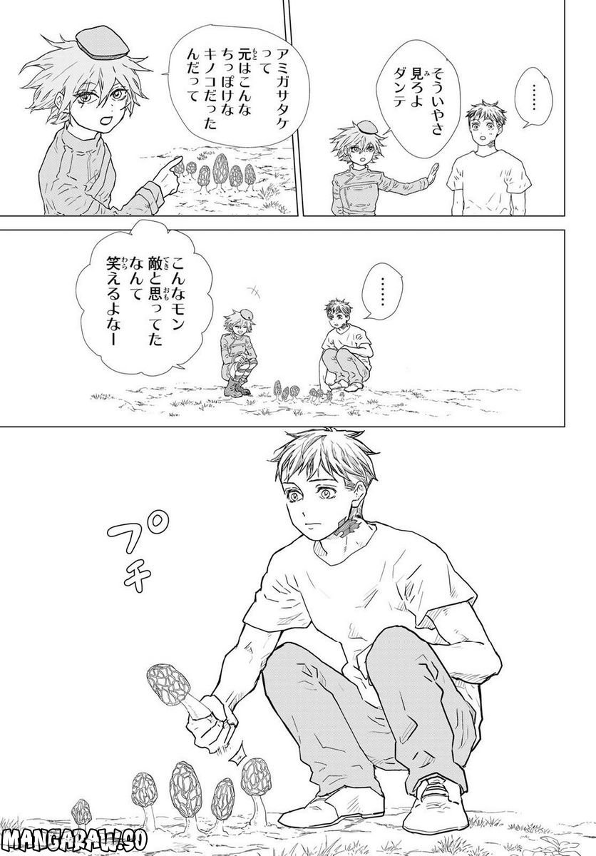 P29
