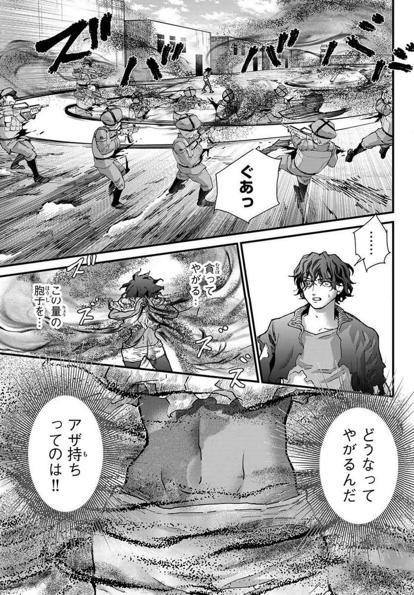 P29