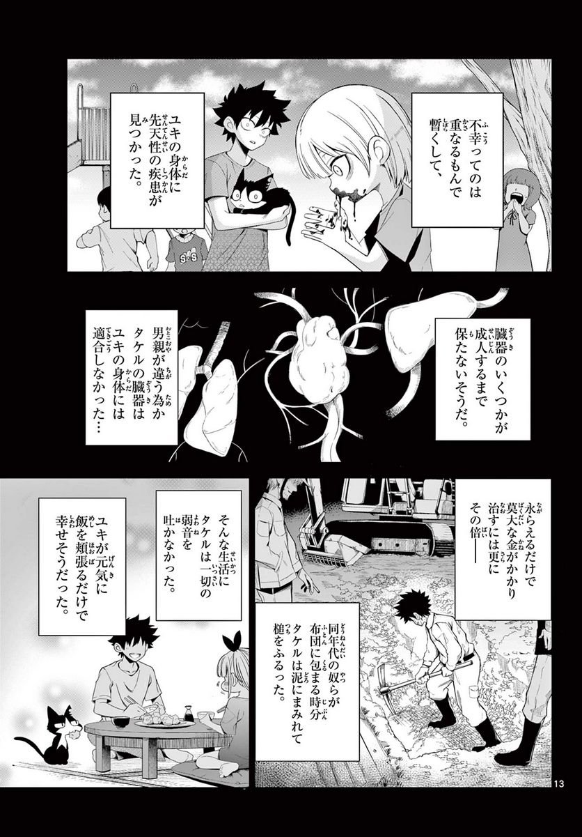 P13