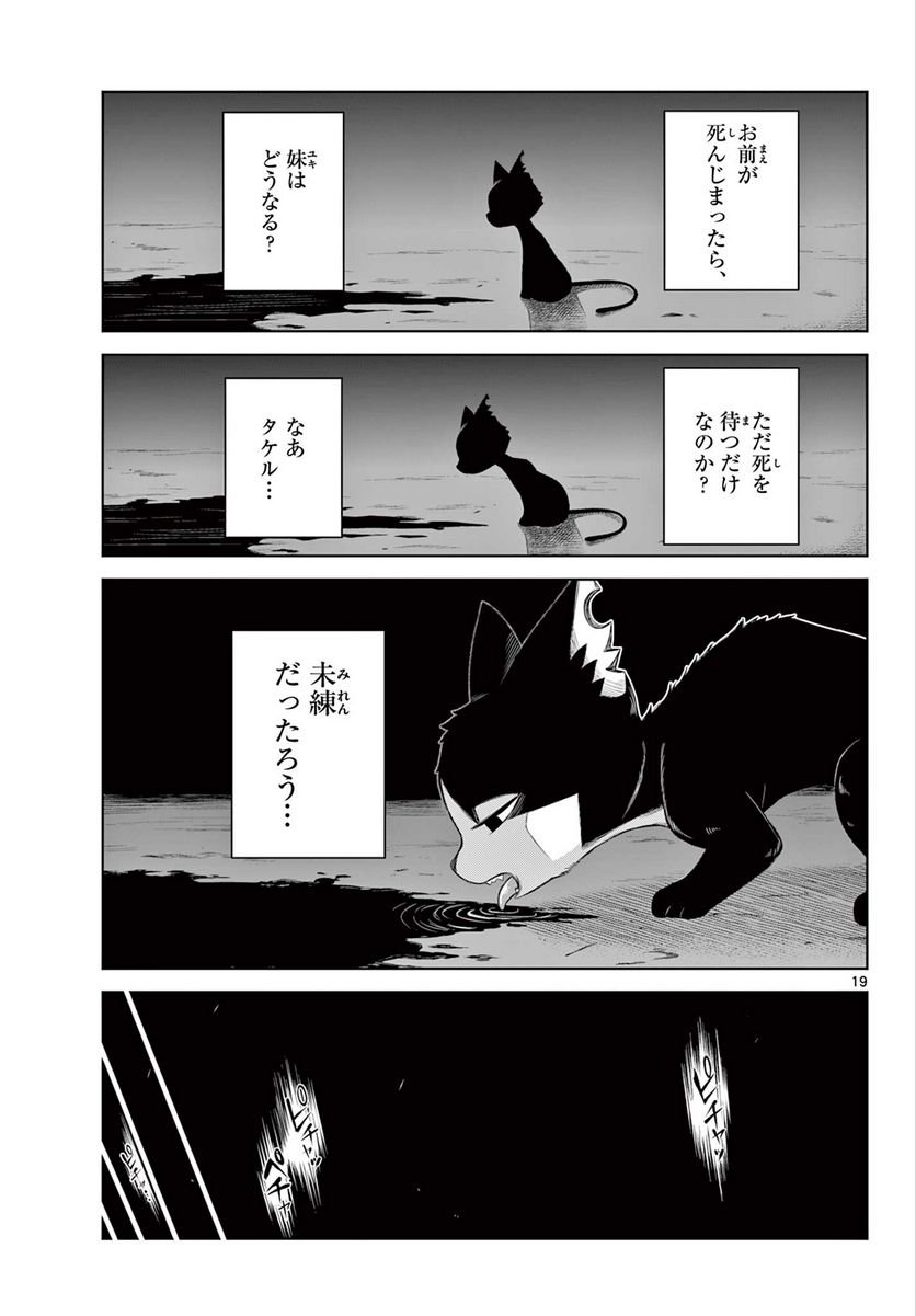 P19