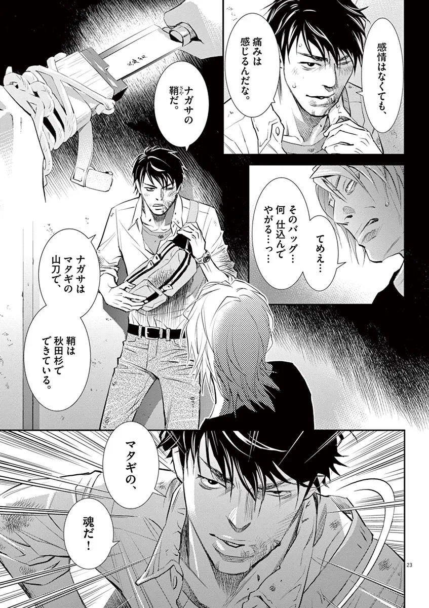 P23