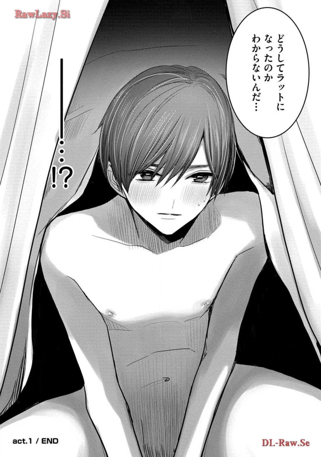 P41