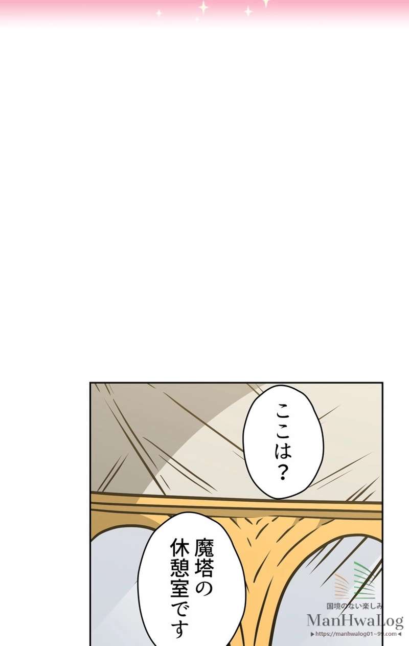 P61