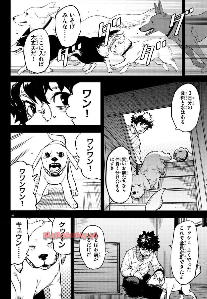P16