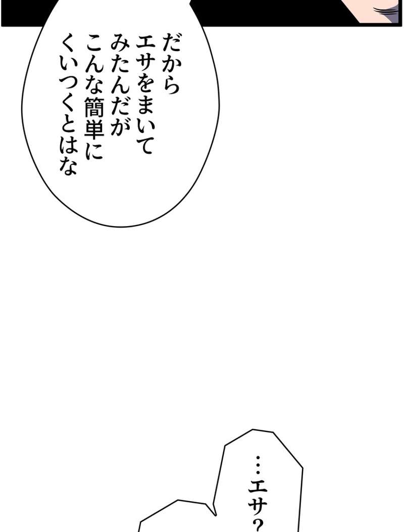 P66