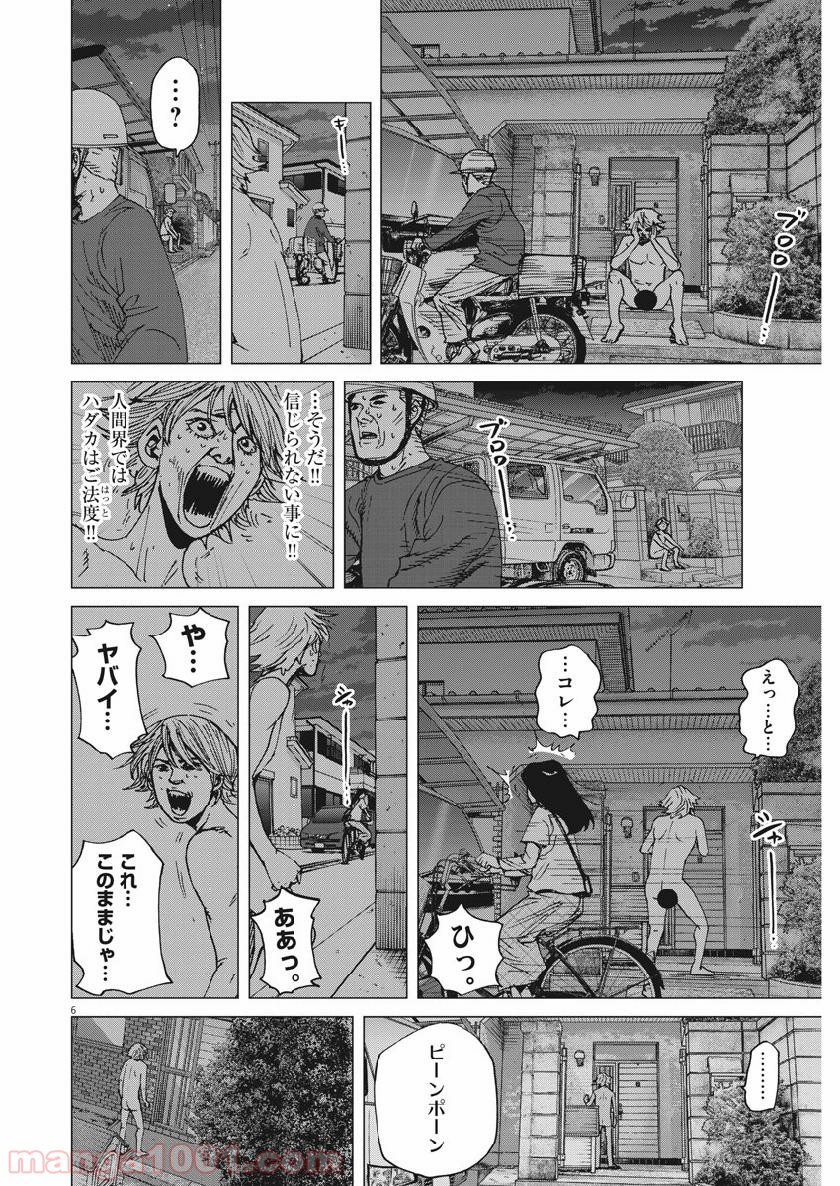 P6