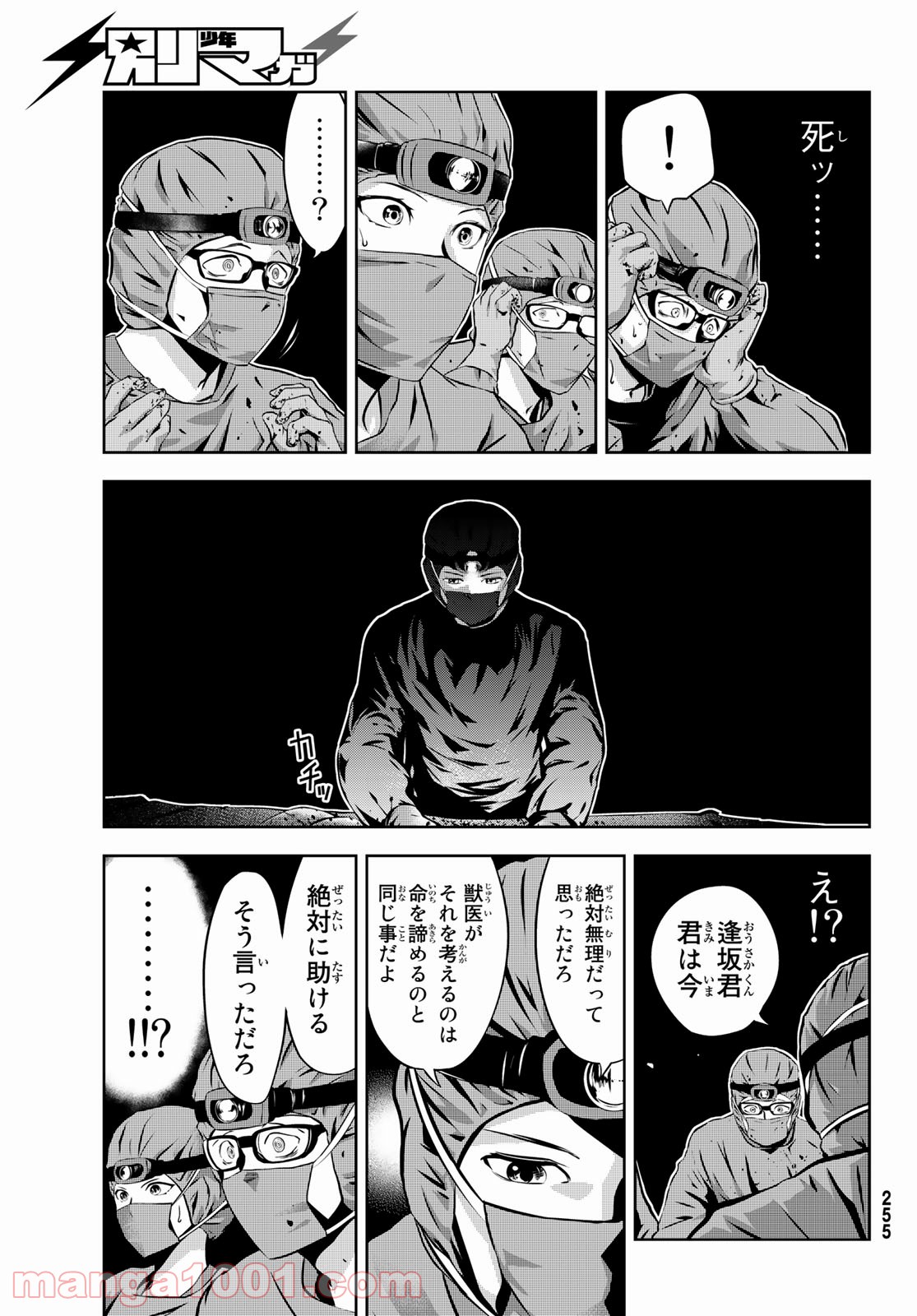 P29