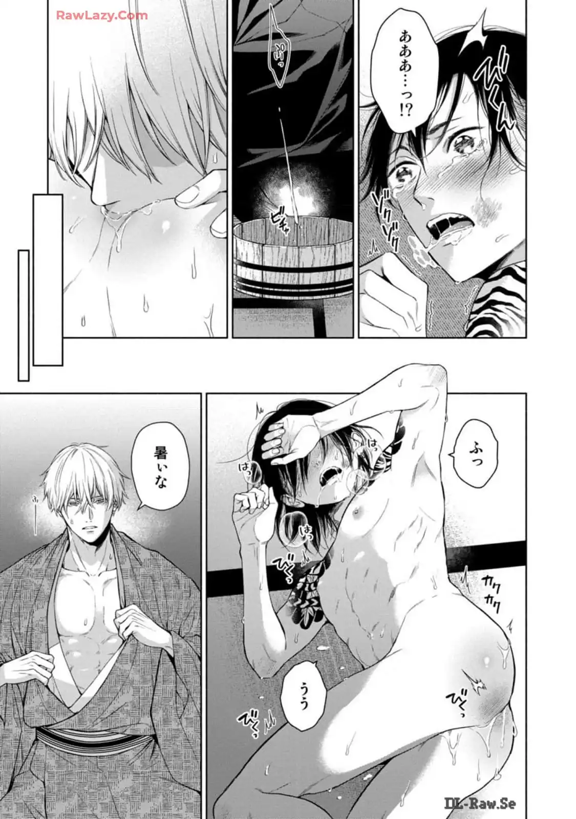 P29