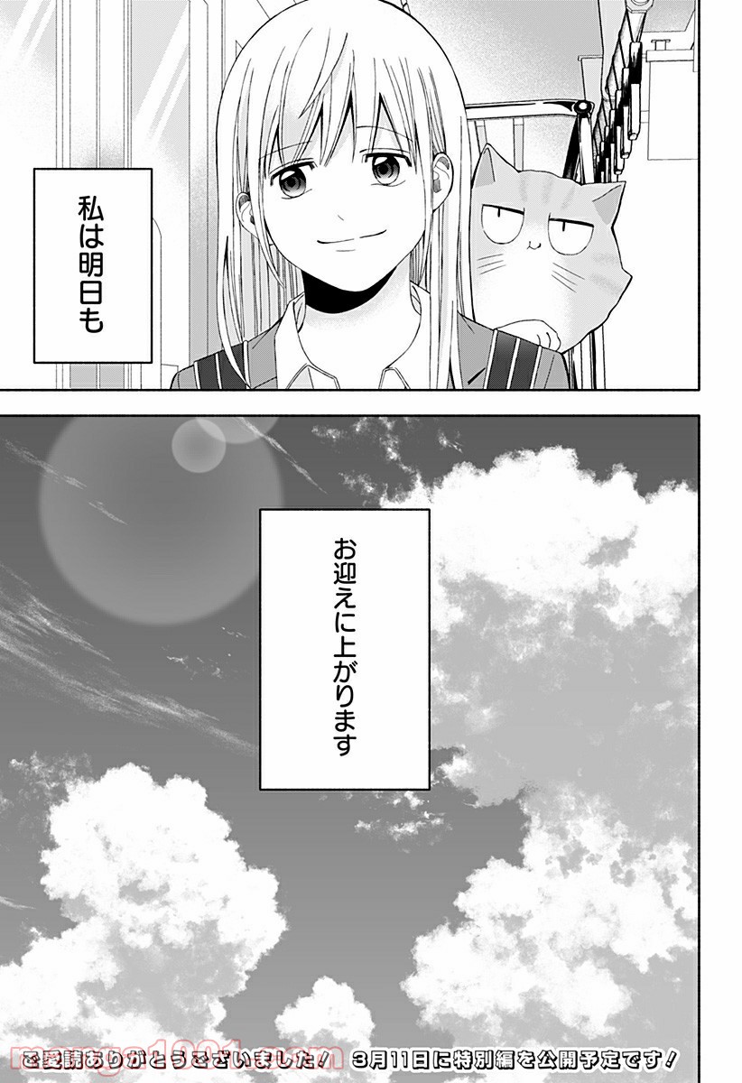 P63