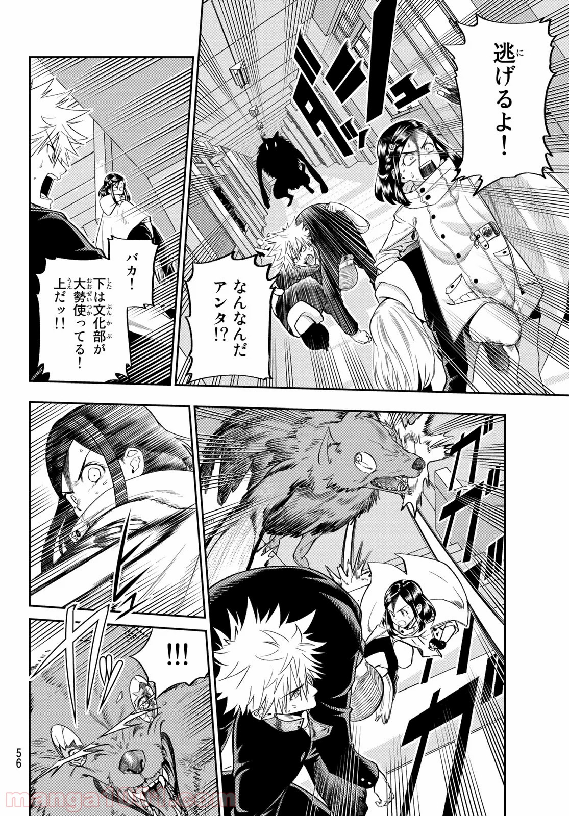 P41