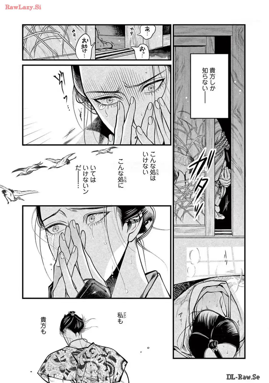 P29