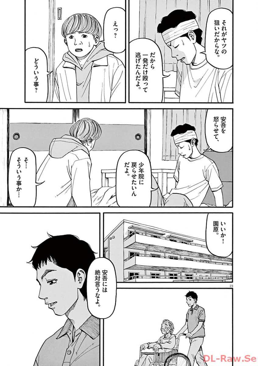 P23