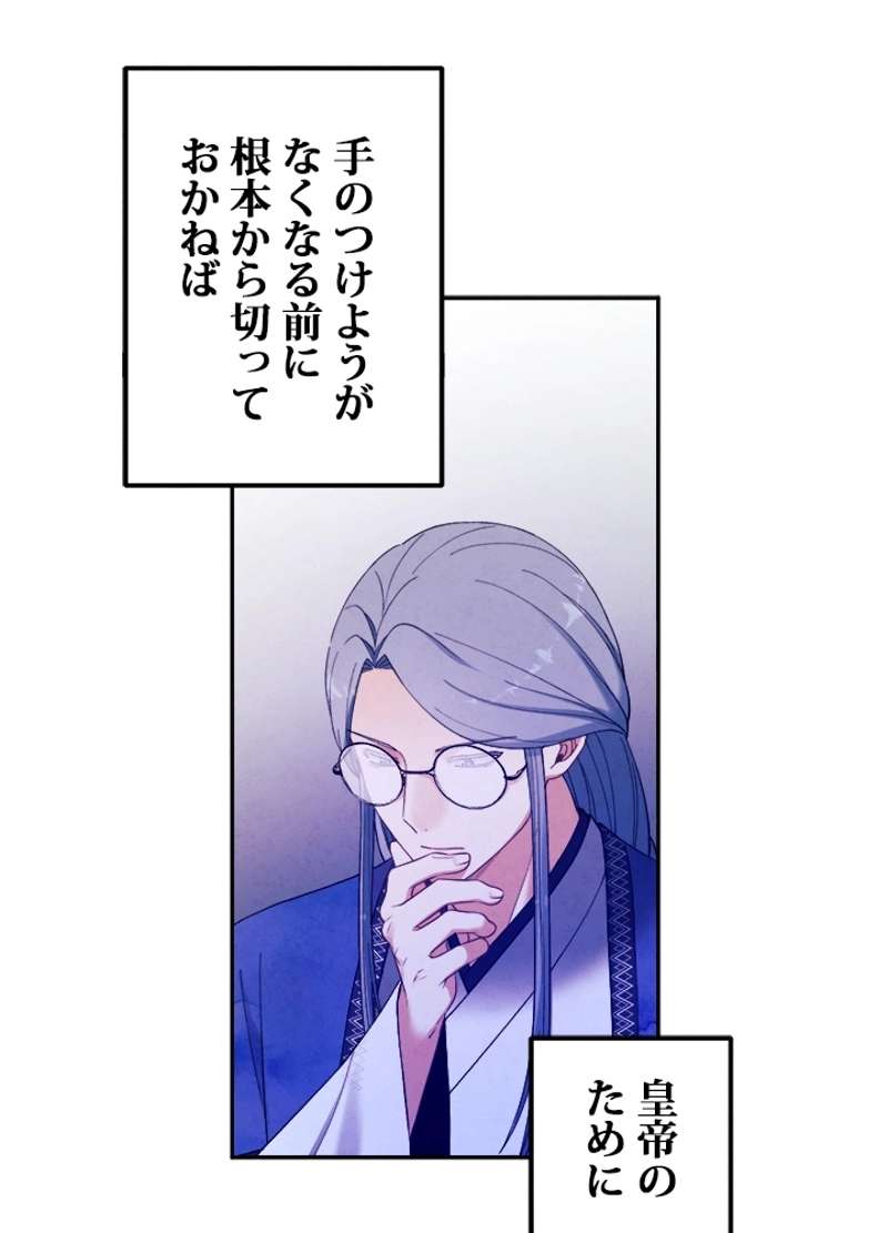 P53
