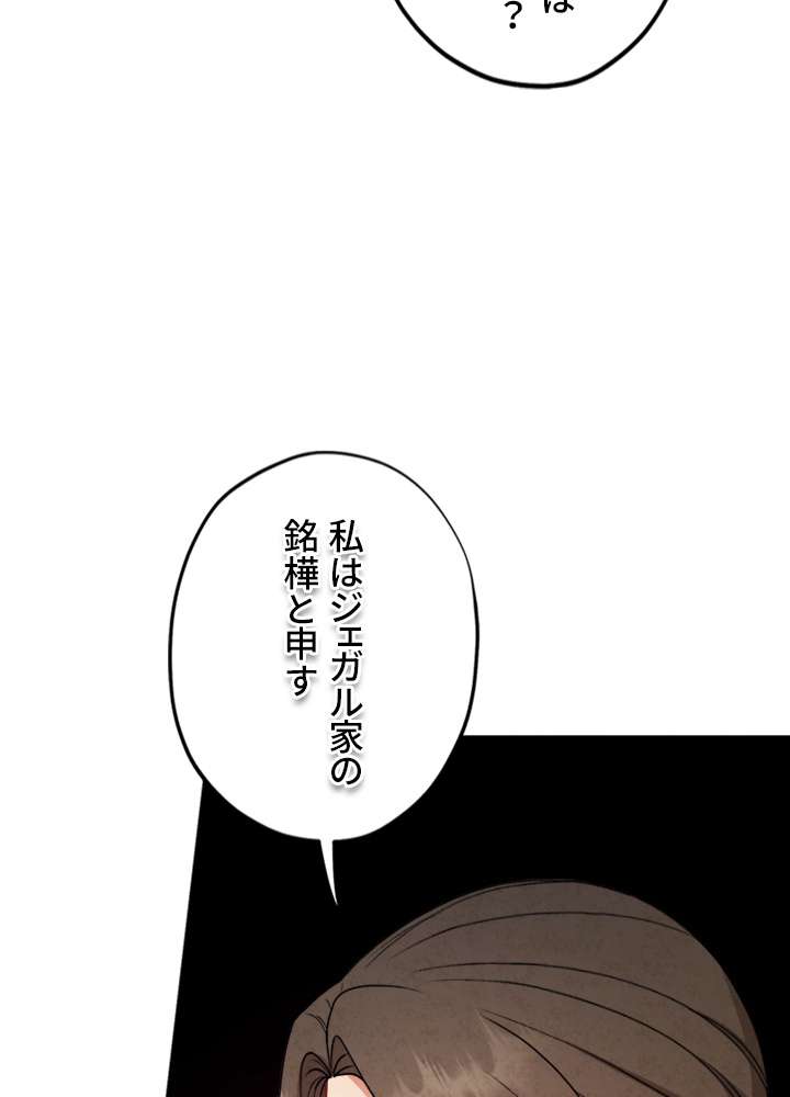 P66