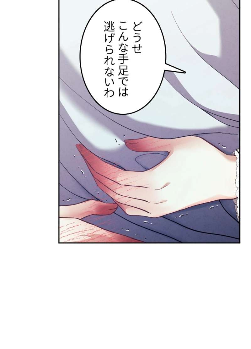P66