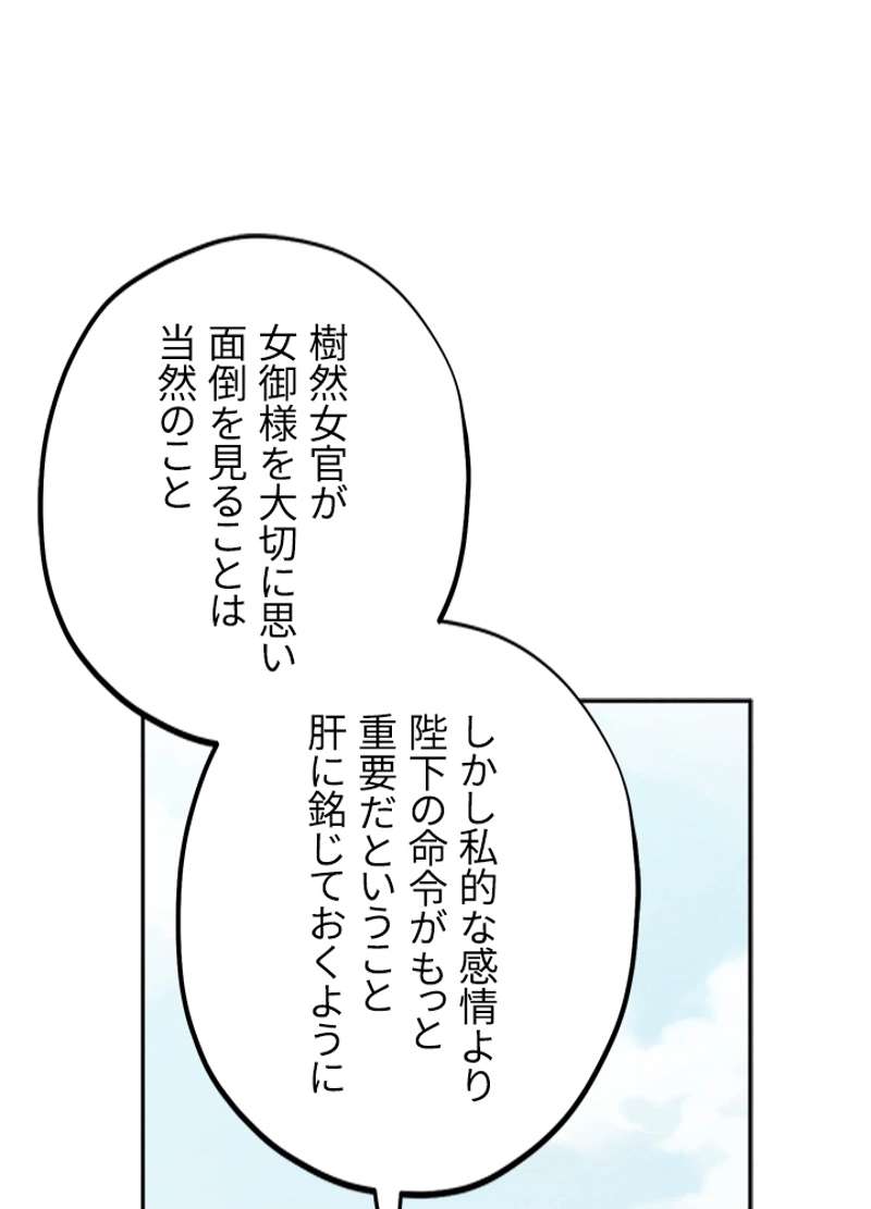 P53