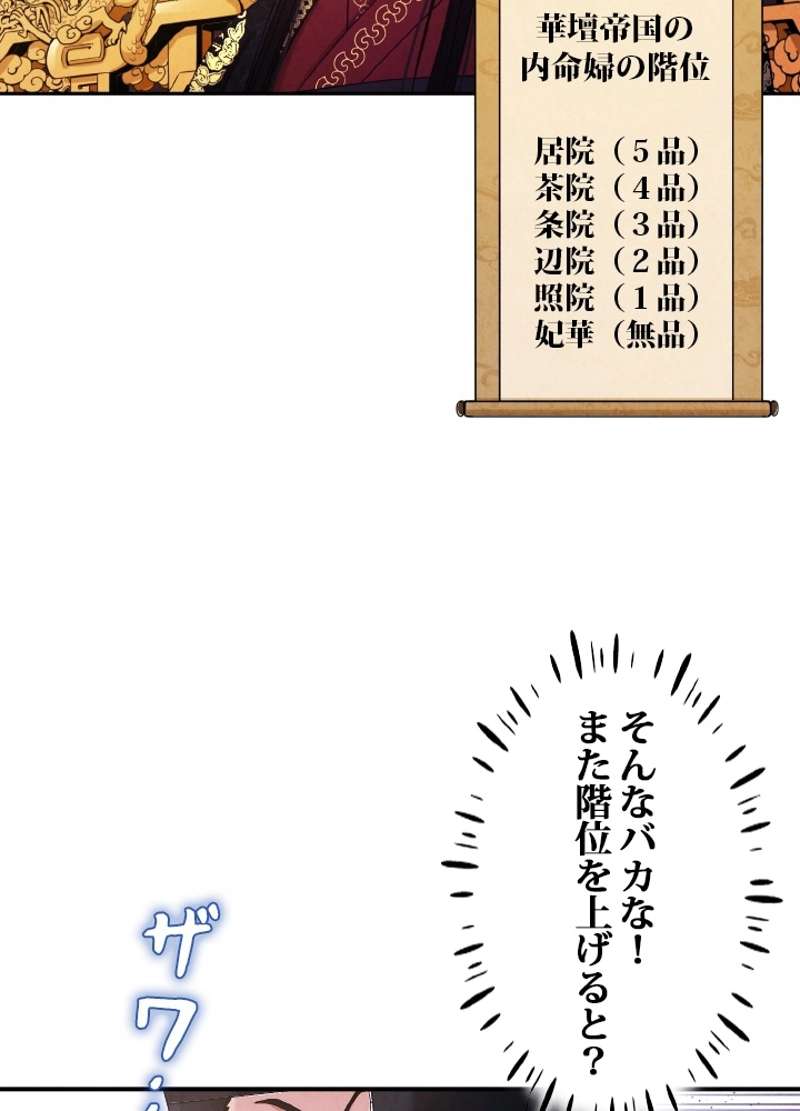 P65