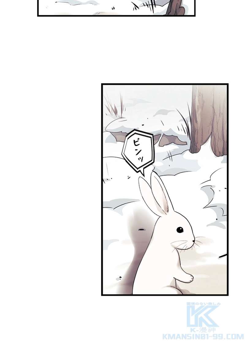 P58