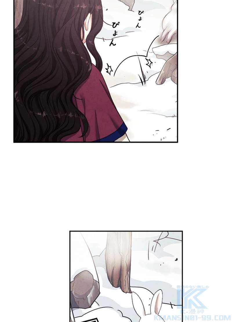 P61