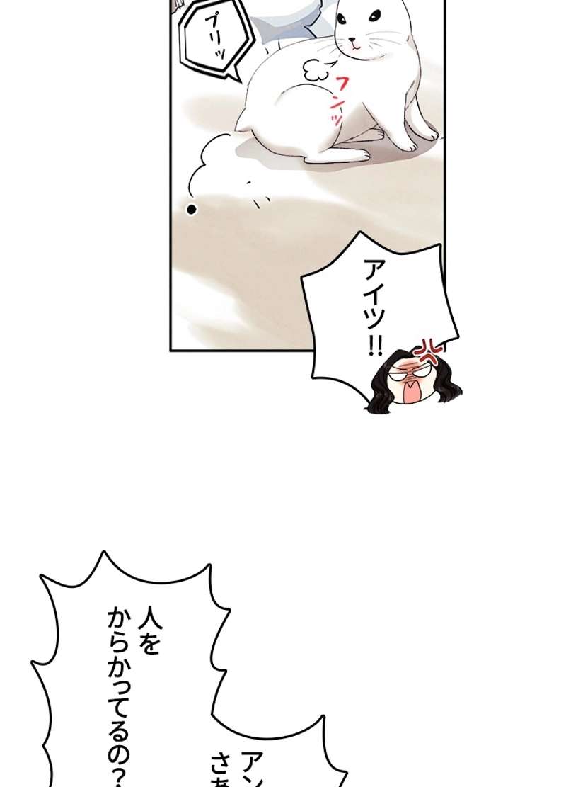 P62