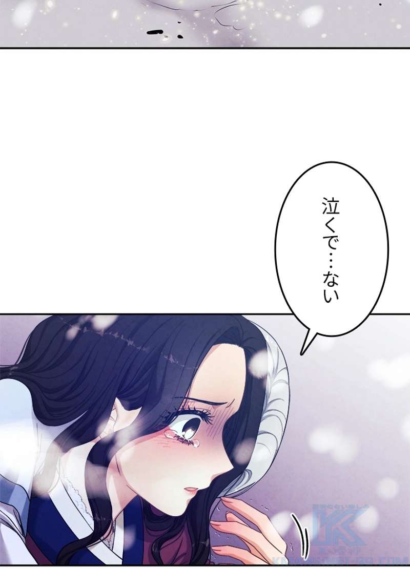 P61