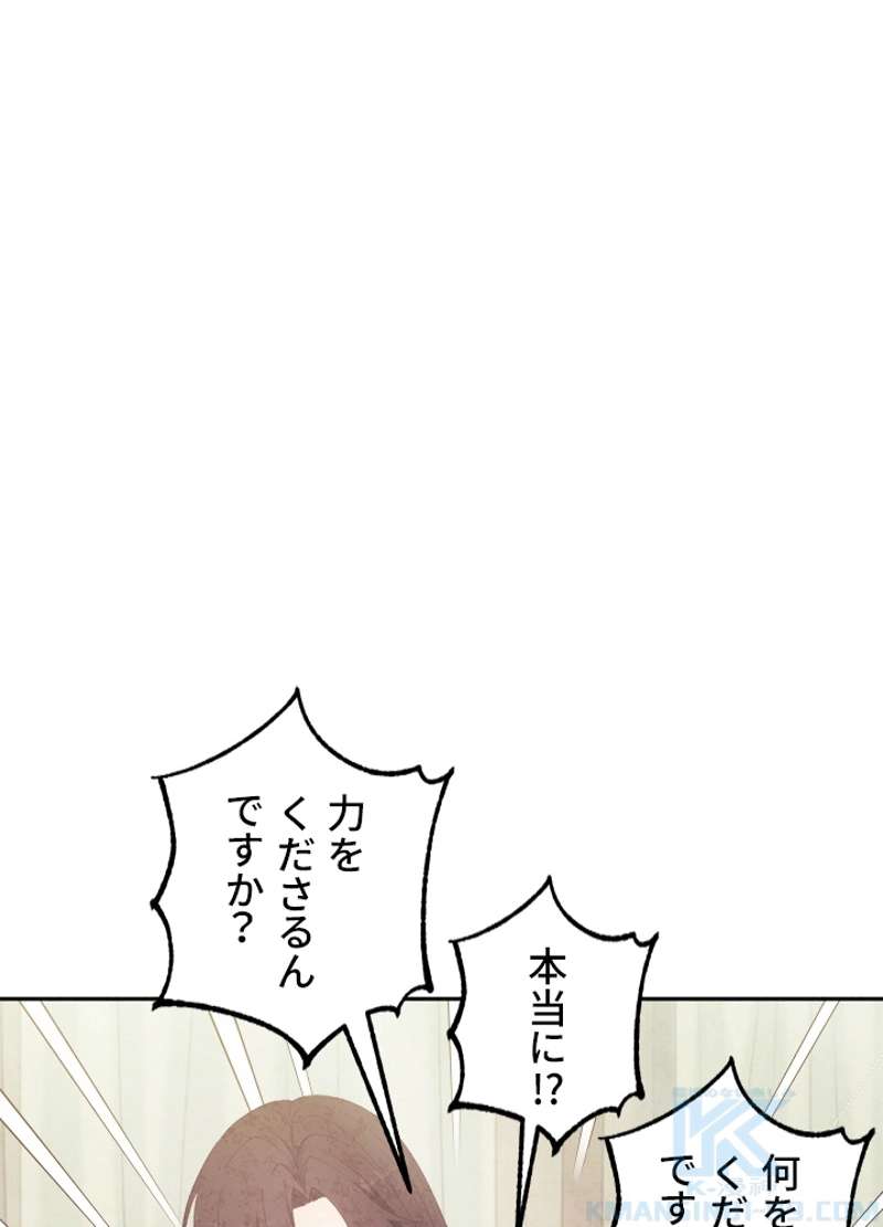 P61