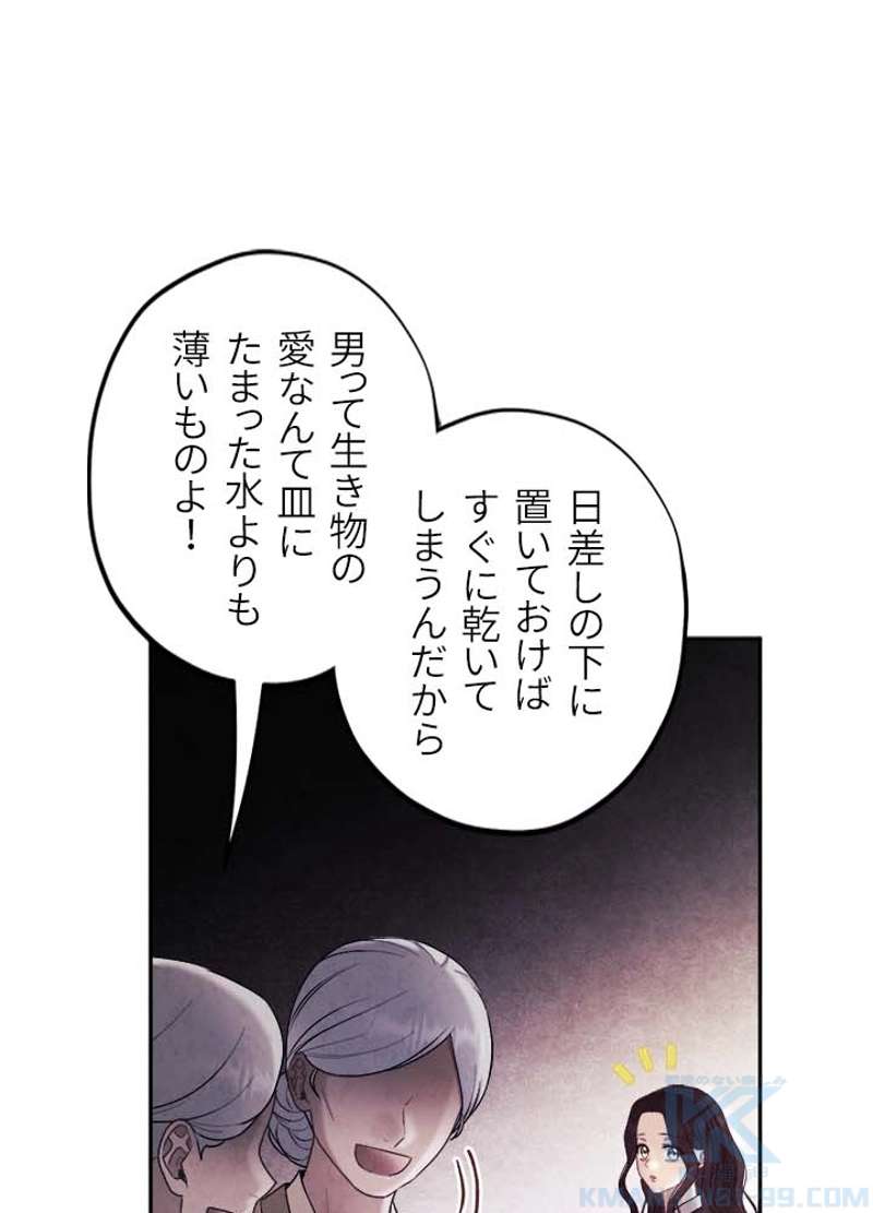 P61