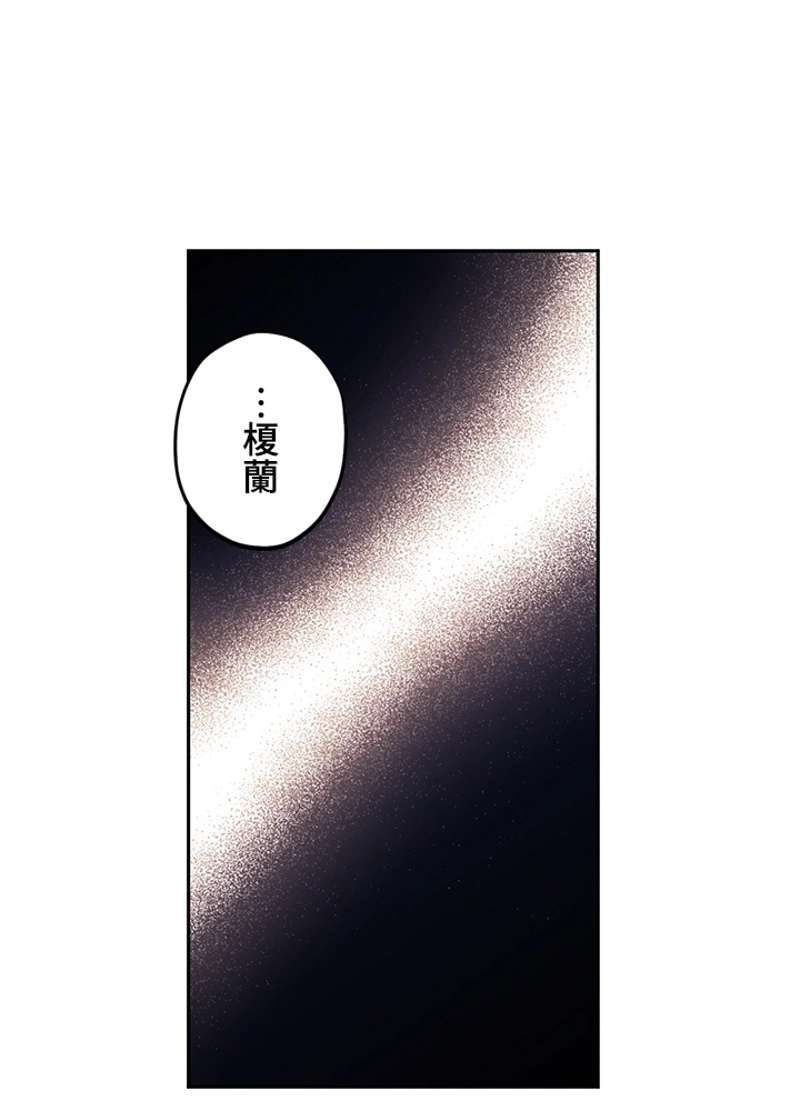 P63