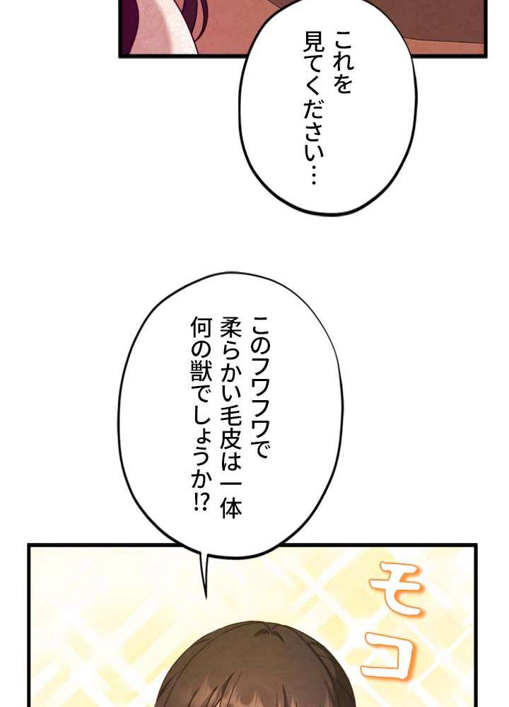 P53