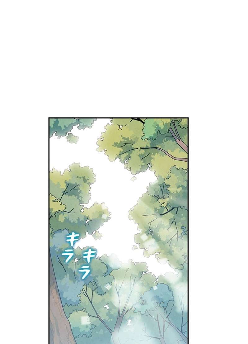 P63