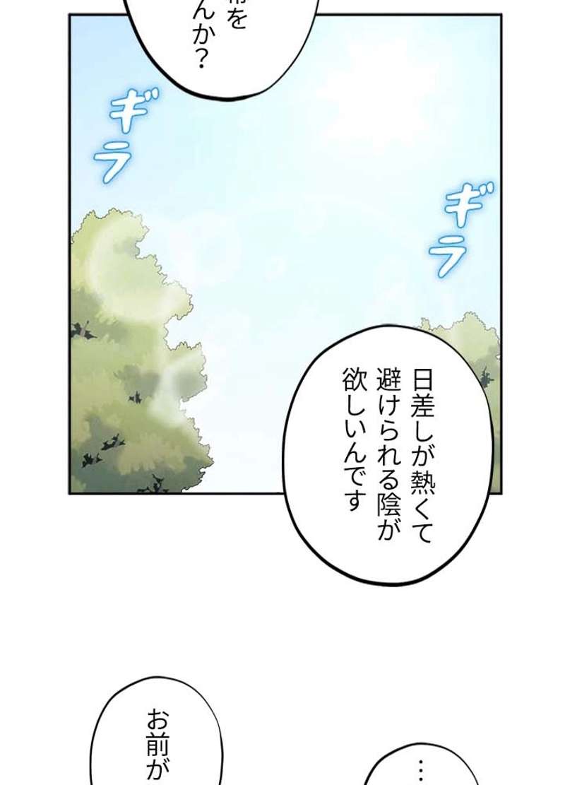 P84