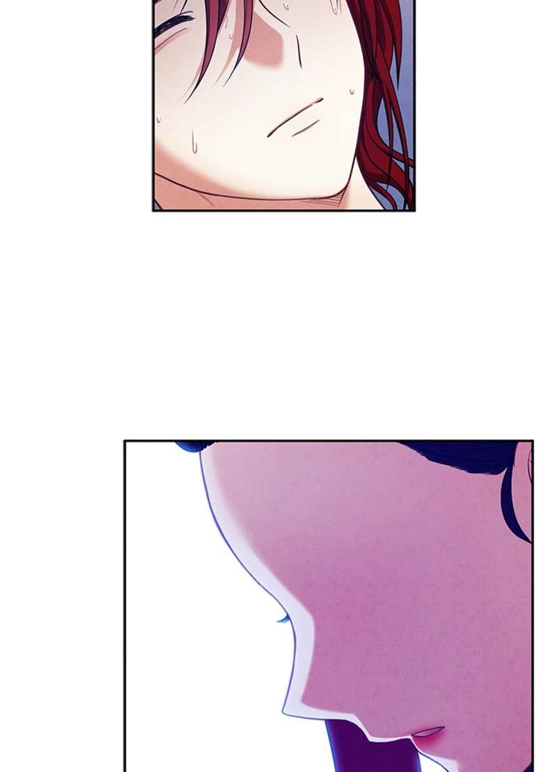 P66