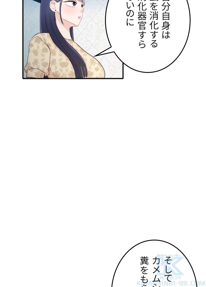 P53