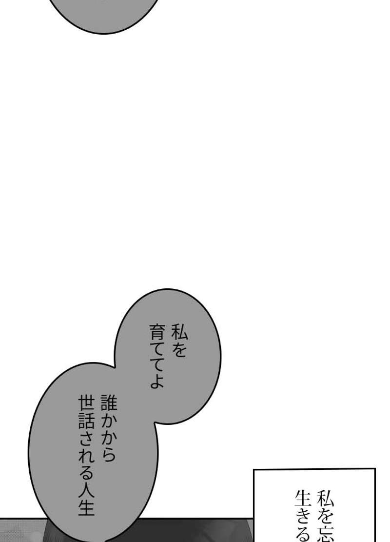 P66
