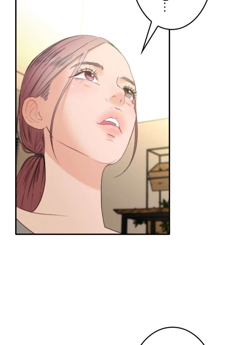 P53
